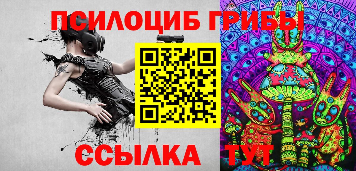 Красноармейск  Галлюциногенные грибы Psilocybe  Галлюциногенные грибы мицелий  Вход с VPN 